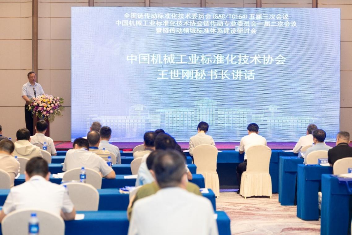 王世刚讲话 王世刚讲话